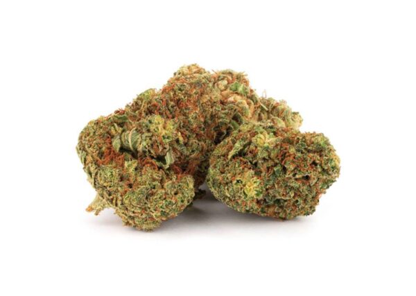 Indica